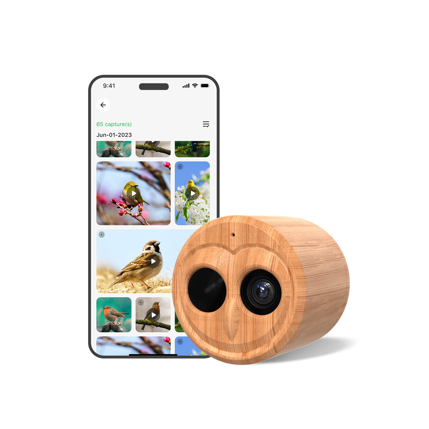 4K Smart Bird Feeder With Came - Power Outdoor ulasan dan harga
