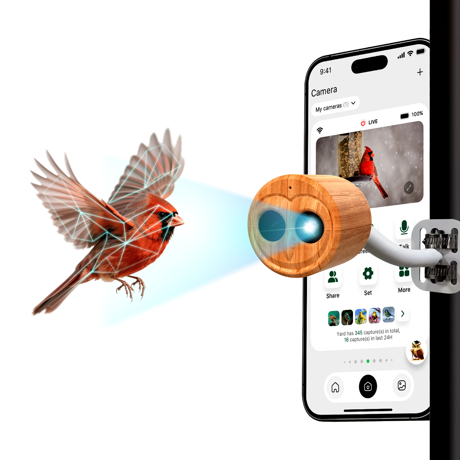 4K Smart Bird Feeder With Came - Power Outdoor ulasan dan harga
