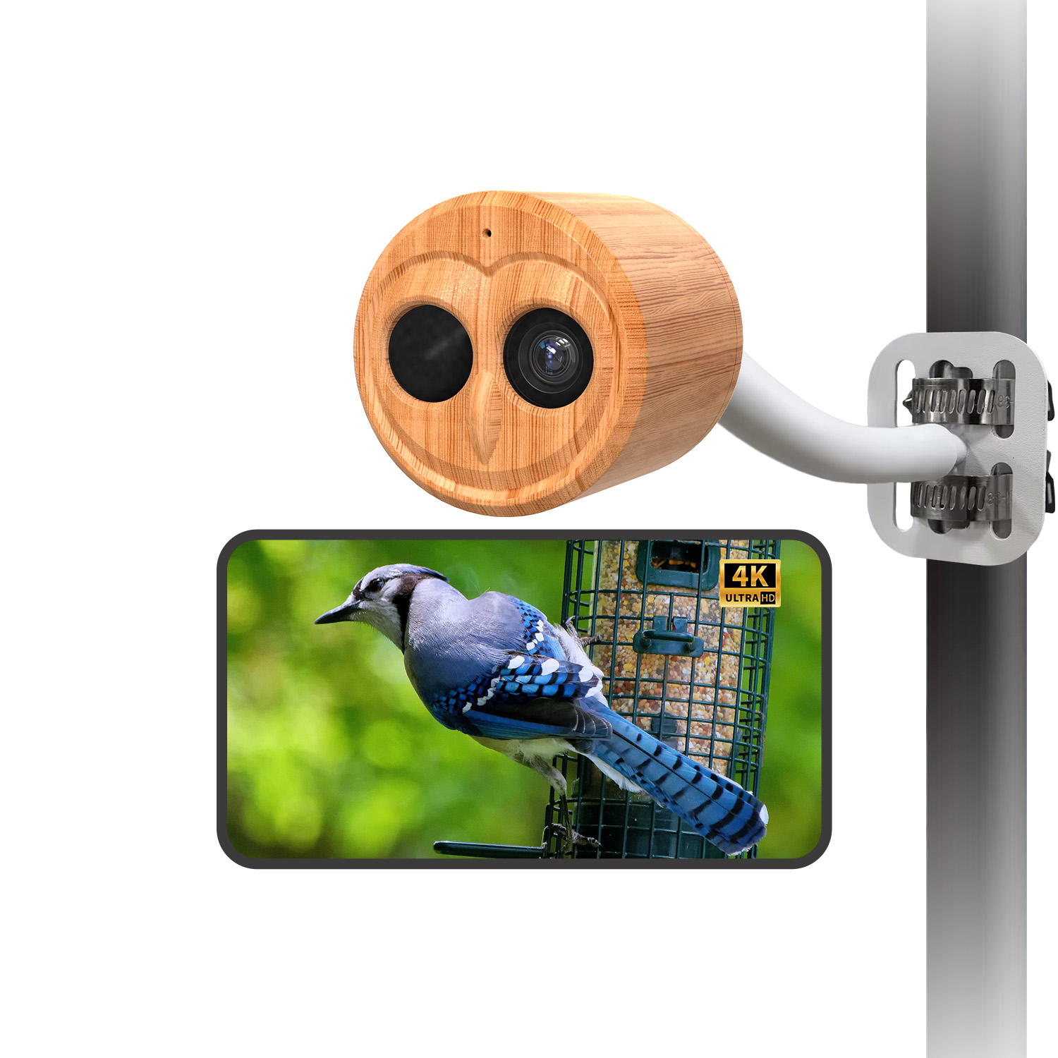 4K Smart Bird Feeder With Came - Power Outdoor ulasan dan harga